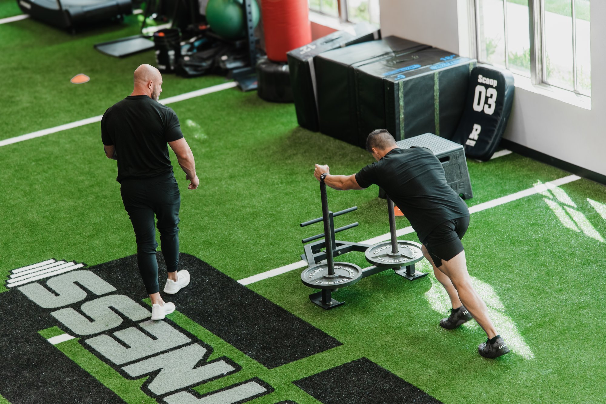 Apex Physical Therapy